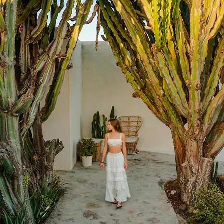 Hotel Boutique Eco Costa Magica *