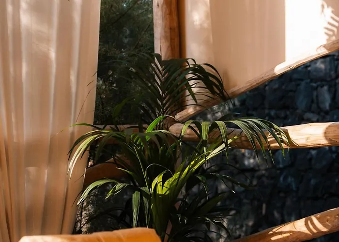 Boutique Eco Costa Mágica