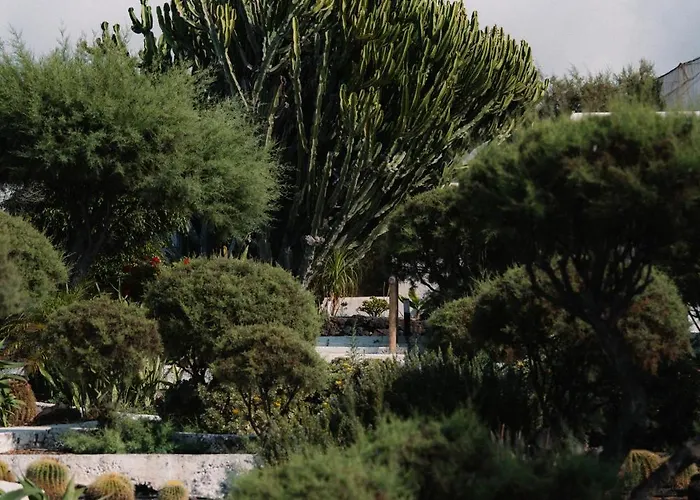 Hotell Boutique Eco Costa Magica La Laguna (Tenerife)