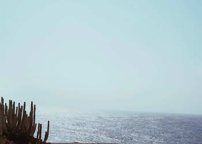 Boutique Eco Costa Magica La Laguna